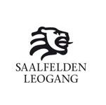 saalfelden leogang logo